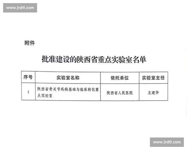 体育管理视角下的竞技发展策略与组织效率提升研究